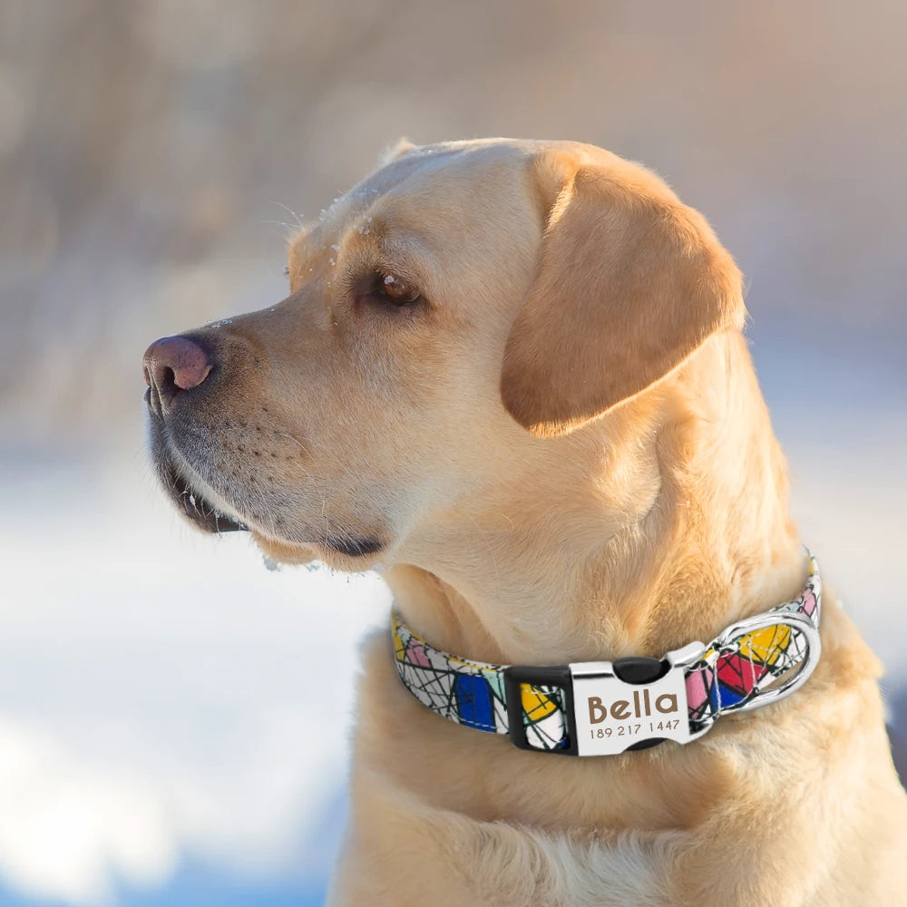 Collar Ajustable de Nylon Personalizado para Perros y Gatos con Nombre Grabado