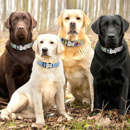 Collar Ajustable de Nylon Personalizado para Perros y Gatos con Nombre Grabado